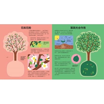 樹的透視書